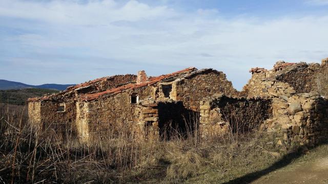 15800035_1129480033831375_5541660748196155949_o