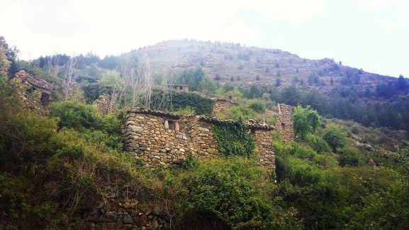 IMG_20170509_133400_201