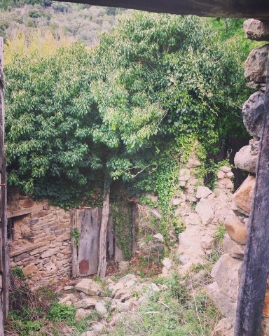 IMG_20170511_220033_155