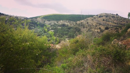 IMG_20170516_165050_330