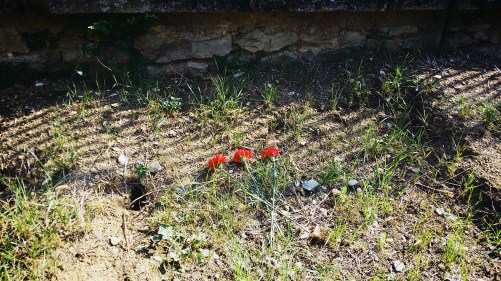 Fotor_15114773561292