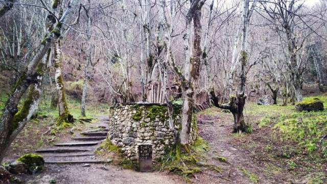 13041257_864618983650547_5469288251855594254_o