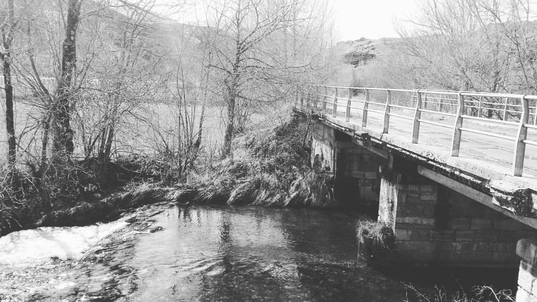 18278716_1166503913462051_4565061090944771827_o